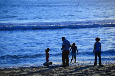 DSC_1244 (Large).JPG